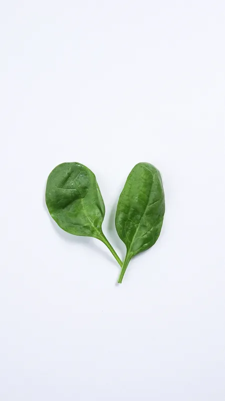 Espinaca