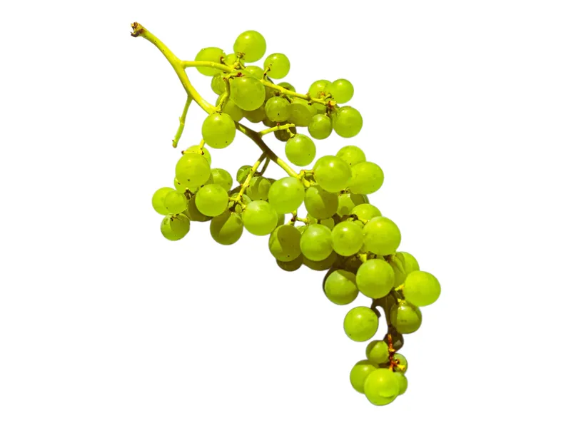 Uva Verde