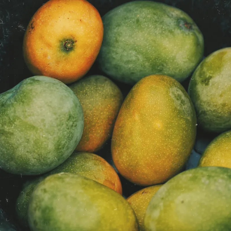 Mango
